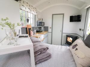 a living room with a couch and a fireplace at Bo Peep's Shepherdess Hut in Hull