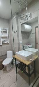 a bathroom with a white toilet and a sink at Appartment in Bakuriani in Bakuriani