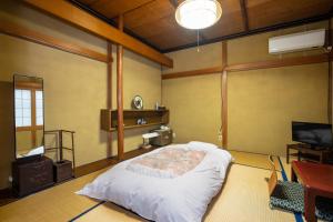 a bedroom with a bed and a tv in it at Daibutsu Ryokan in Takaoka
