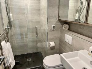 a bathroom with a shower and a toilet and a sink at Hygge Garden Apartment with Private Sauna in Queenstown