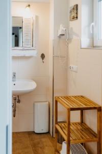 a bathroom with a sink and a shower at Haus Mimi Zarrentin am Schaalsee in Zarrentin