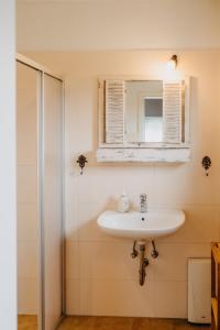 a bathroom with a sink and a mirror at Haus Mimi Zarrentin am Schaalsee in Zarrentin