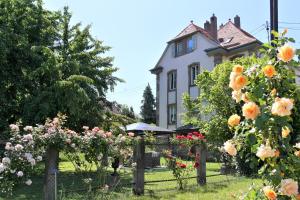 un jardín de flores frente a una casa en Le Jardin des Roses en Saverne