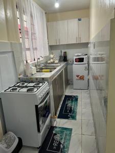a small kitchen with a stove and a sink at Ruby Modern Homes-1br-Nyeri, King'ong'o-Marriott in Nyeri