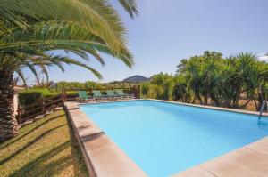 une grande piscine bordée de palmiers et de chaises dans l'établissement Villa Rotger, à Alcúdia
