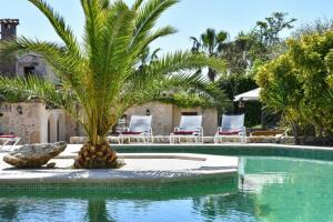 a palm tree sitting next to a swimming pool at Villa Marina in Pollença