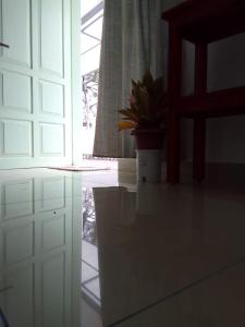 una maceta sentada en un mostrador al lado de una puerta en joseys homestay, en Kochi