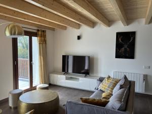 TV a/nebo společenská místnost v ubytování Les lofts M