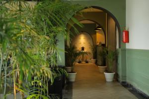 a hallway with a bunch of potted plants at Hotel City Express By Downtown in Udaipur
