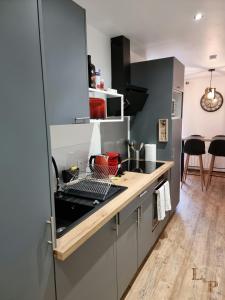una cucina con lavandino e bancone di La Comoé - 5 min centre Pau - 1 chambre - Parking a Billère