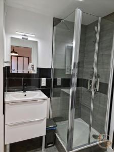 La salle de bains est pourvue d'une douche et d'un lavabo. dans l'établissement La Comoé - 5 min centre Pau - 1 chambre - Parking, à Billère