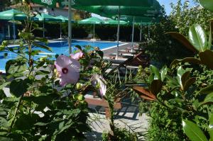 Gallery image of Iva Resort in Byala