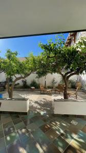 a courtyard with benches and trees in front of a building at N’zina’s home in Custonaci