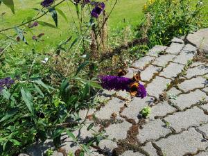 Zahrada ubytování Kyndestoft Bed & Breakfast