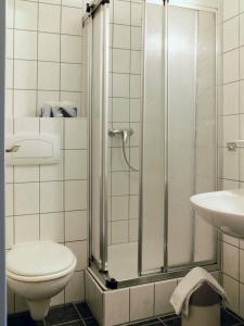 a bathroom with a shower and a toilet and a sink at Kärntner Stub'n in Königslutter am Elm