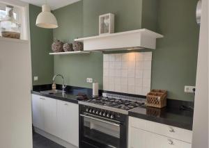 een keuken met groene muren en een fornuis top oven bij Next To Sea in Vlissingen