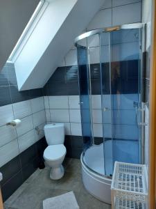 a bathroom with a toilet and a shower at Siedlisko na Zaciszu pokoje z aneksem in Kąty Rybackie