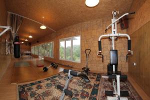 Fitnesscentret og/eller fitnessfaciliteterne på Pensiunea Tara