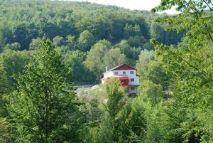 Peisaj natural din apropierea acestei pensiuni