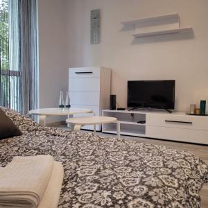 sala de estar con cama y TV de pantalla plana en Apartament Tuwima, en Zabrze