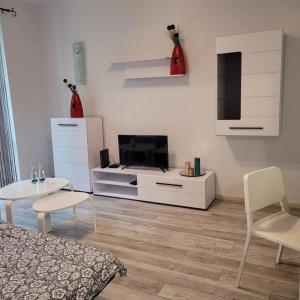 TV a/nebo společenská místnost v ubytování Apartament Tuwima