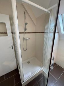 um chuveiro com uma porta de vidro na casa de banho em La Palmerais Dinard - 5 min de la plage em Dinard