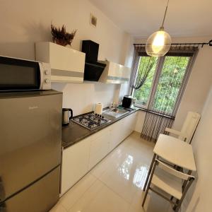 Kuchyň nebo kuchyňský kout v ubytování Apartament Tuwima