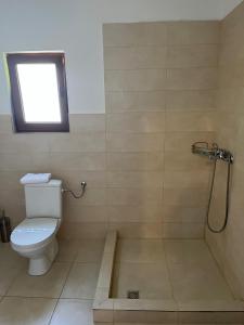 a bathroom with a toilet and a shower with a window at Casa Someseana in Gîlgău