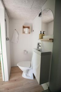 een badkamer met een wit toilet en een wastafel bij Tórshavn Apartment - City Center in Tórshavn