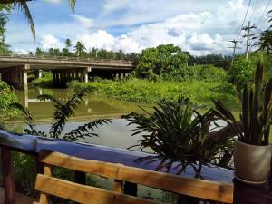Výhled na bazén z ubytování Suankafae Resort สวนกาแฟรีสอร์ท nebo okolí