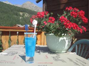 a drink sitting on a table with a potted plant at Hôtel du Hameau in La Foux