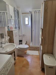 La salle de bains est pourvue de toilettes, d'un lavabo et d'une douche. dans l'établissement Ela Vital Ferienwohnung, à St. Blasien