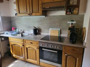 Kuchyň nebo kuchyňský kout v ubytování Ela Vital Ferienwohnung
