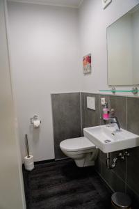 ein Badezimmer mit einem weißen WC und einem Waschbecken in der Unterkunft Ferienpark Winterberg in Winterberg