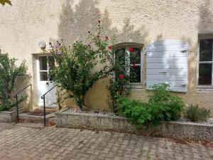 a building with a window and flowers on it at La cambuse des gones - Gîte 3 chambres in Thurins