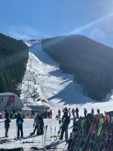 Fotografie z fotogalerie ubytování Bansko Ski To Door Studio De Luxe v destinaci Bansko