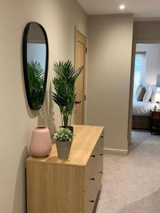 a room with a mirror and a dresser with a plant on it at Apple Tree at Elim Mews in Bowness-on-Windermere