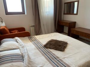 Fotografie z fotogalerie ubytování Bansko Ski To Door Studio De Luxe v destinaci Bansko