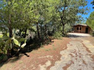 Wonderful house in the heart of Sicily في بياتسا أرميرينا: طريق ترابي مع منزل في الخلف