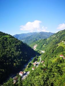 a river in the middle of a valley at LİMCORA DAĞEVLERİ&BUNGALOW in Rize