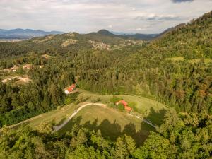 una vista aerea di una casa su una collina in montagna di Cottage surrounded by forests - The Sunny Hill 