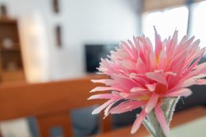 Fotografia z galérie ubytovania Apartamento Tribalia Cadiz v destinácii Cádiz