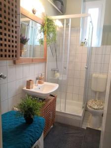 布達佩斯的住宿－Lake Park Residence，一间带水槽、淋浴和卫生间的浴室