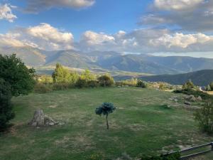 a tree in a field with mountains in the background at Studio face aux montagnes Font-Romeu in Font-Romeu-Odeillo-Via