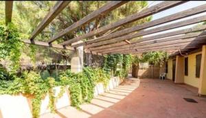 Kép Casa Vacanze Giorgia szállásáról Santa Margherita di Pulában a galériában