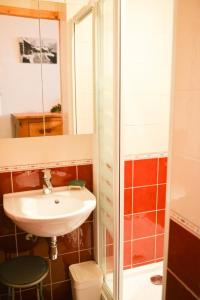 a bathroom with a sink and a shower at Studio avec jardin clos et wifi a Valloire a 3 km des pistes in Valloire