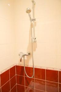 a shower in a bathroom with red tiles at Studio avec jardin clos et wifi a Valloire a 3 km des pistes in Valloire