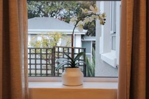 une plante dans un vase assis sur un rebord de fenêtre dans l'établissement Linkview House, à Frankfort