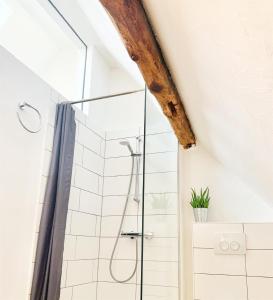 a bathroom with a shower with a glass shower stall at Alte Scheune Birkweiler in Birkweiler
