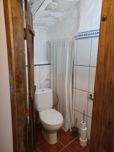 y baño con aseo y cortina de ducha. en Casa Leonor, en Bel